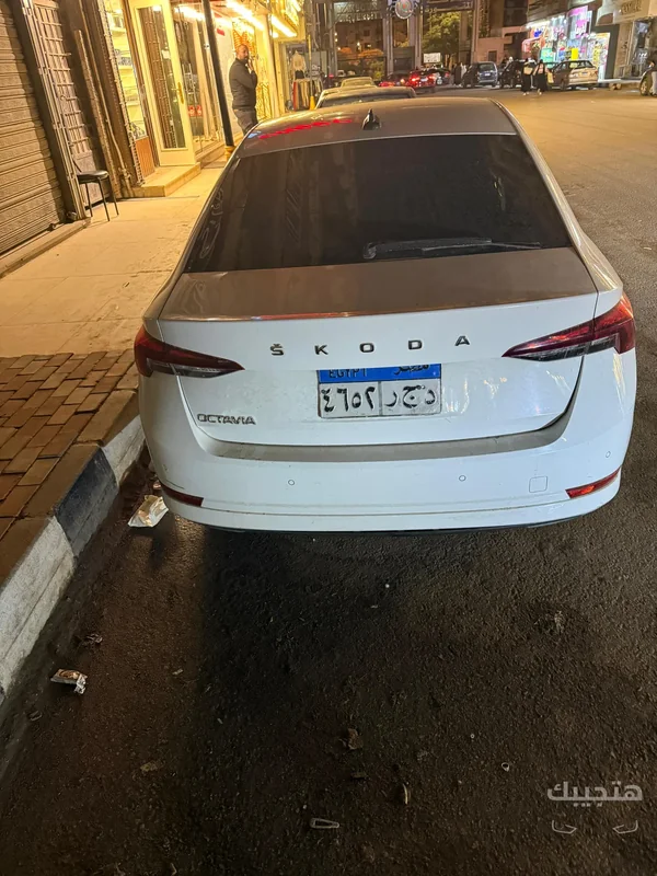 Rear view of 2021 Skoda Octavia