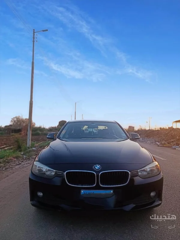 Front view of 2015 BMW 316i