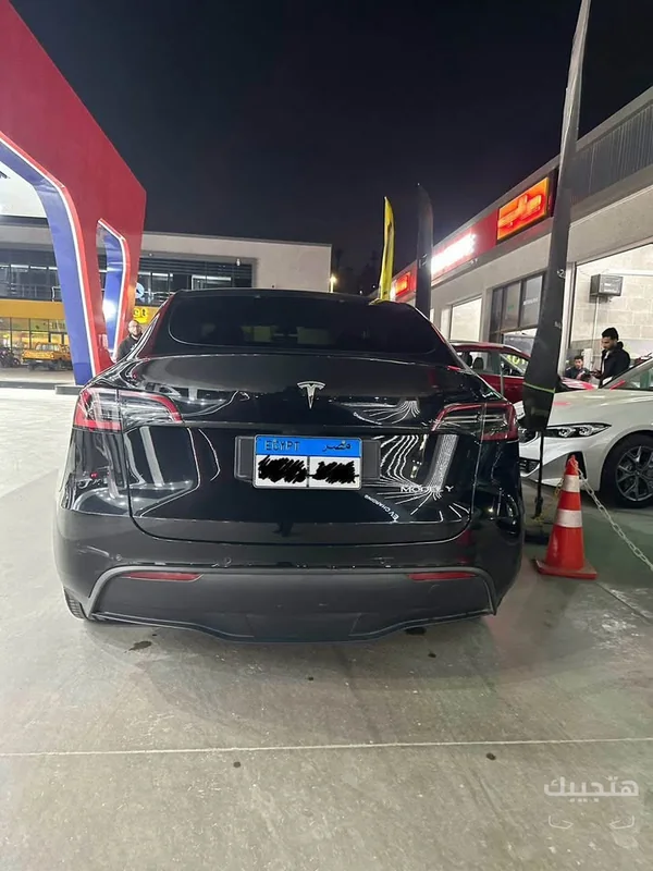 Rear view of 2023 Tesla Model Y