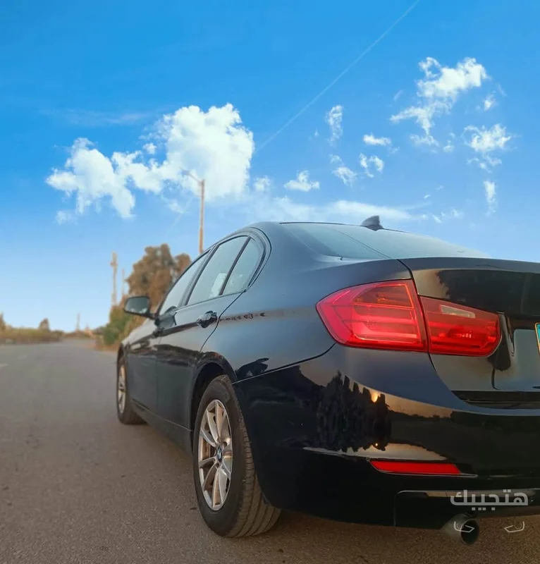 Rear and side view of 2015 BMW 316i