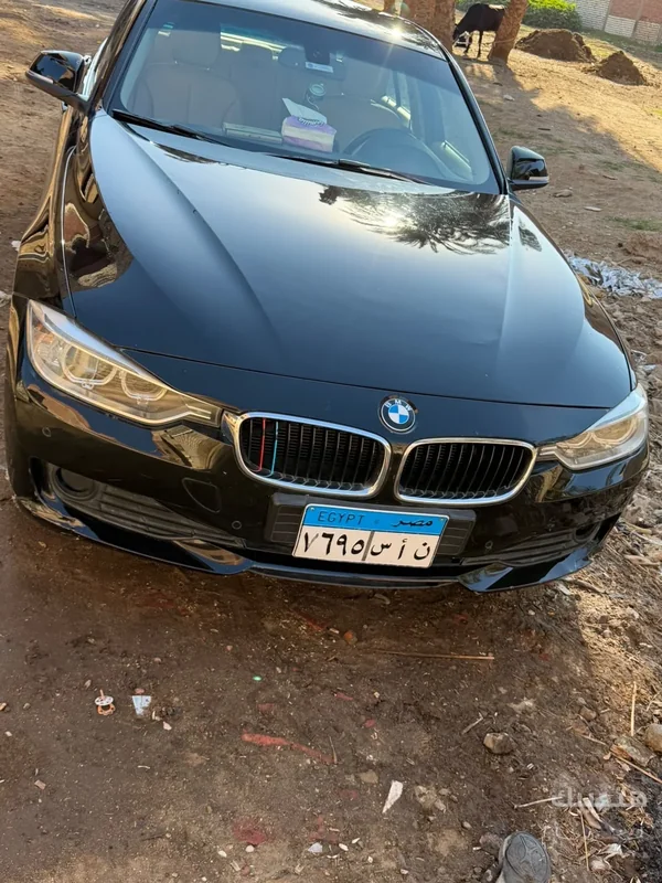 Front view of 2013 BMW 316i