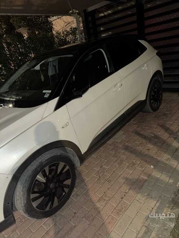 side and front view of 2021 Opel Grandland