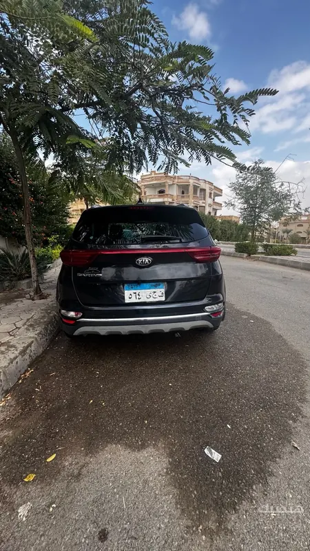 Rear view of 2019 Kia Sportage
