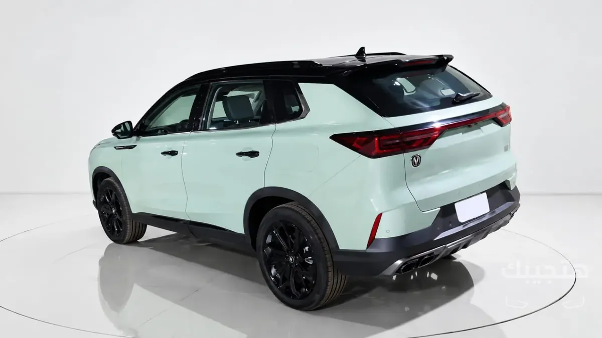 Rear and side view of 2024 Dongfeng Huge