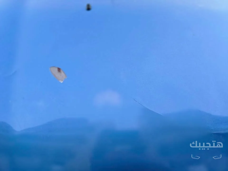 منظر داخلي لسيارة فورد فييستا موديل 2010