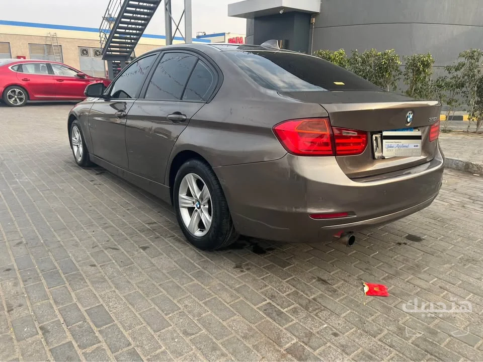 Rear and side view of 2014 BMW 316i