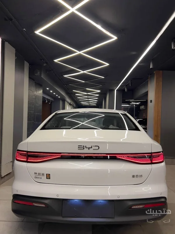 Rear view of 2026 BYD Song Plus